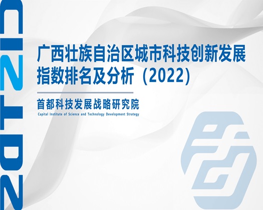 鸡巴巴操逼【成果发布】广西壮族自治区城市科技创新发展指数排名及分析（2022）